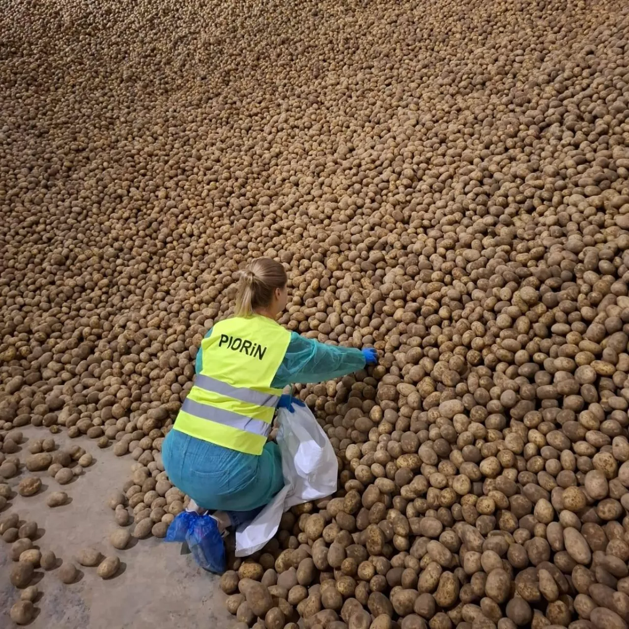 Inspektorzy wchodzą na pola rolników. Co sprawdzają?