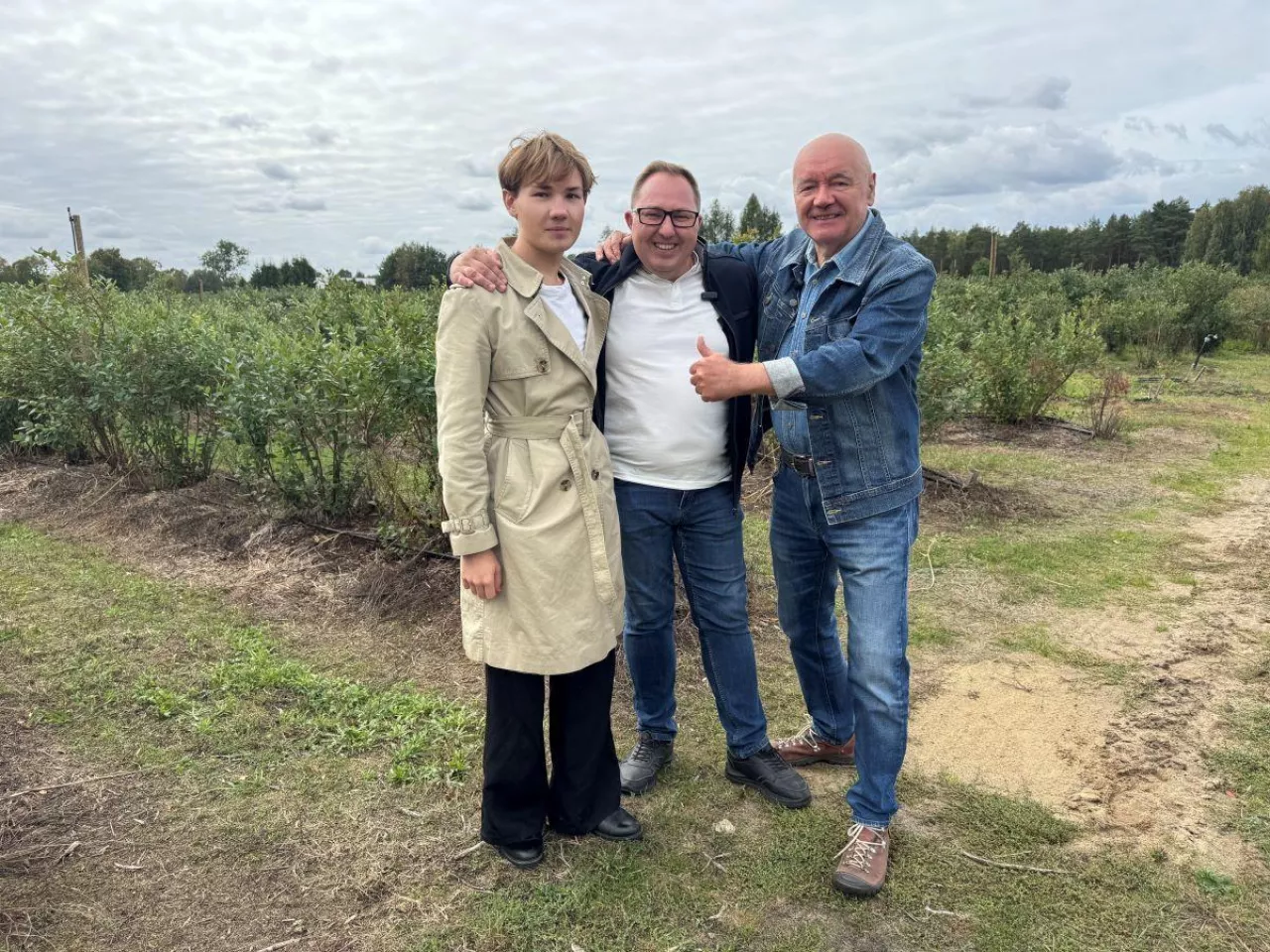 Zastosowanie Carbomatu na plantacji borówek daje korzystne, długotrwałe rezultaty