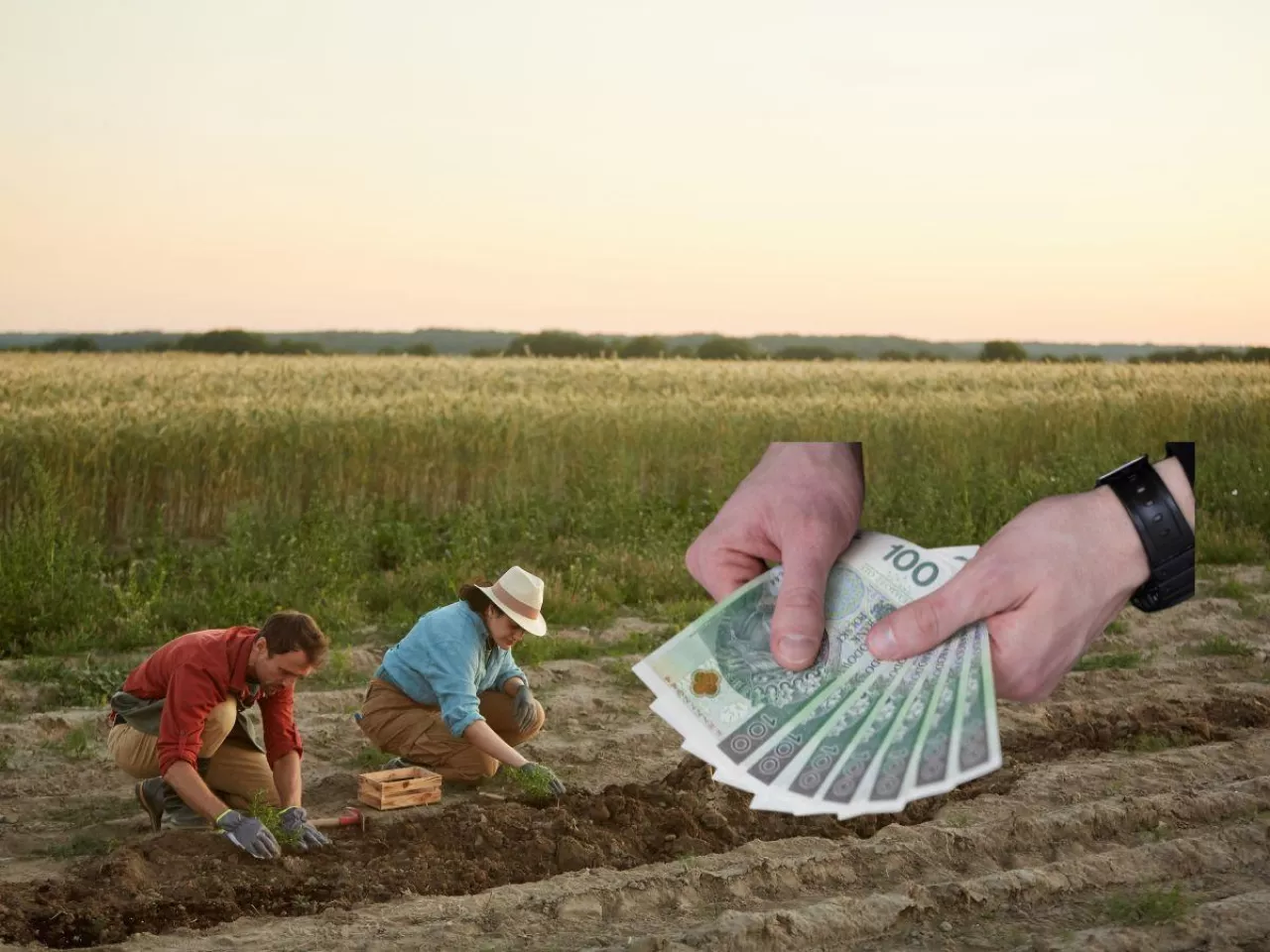 Rolnicy wykiwani na dochodzie. Czy ARiMR zmieni zasady gry?