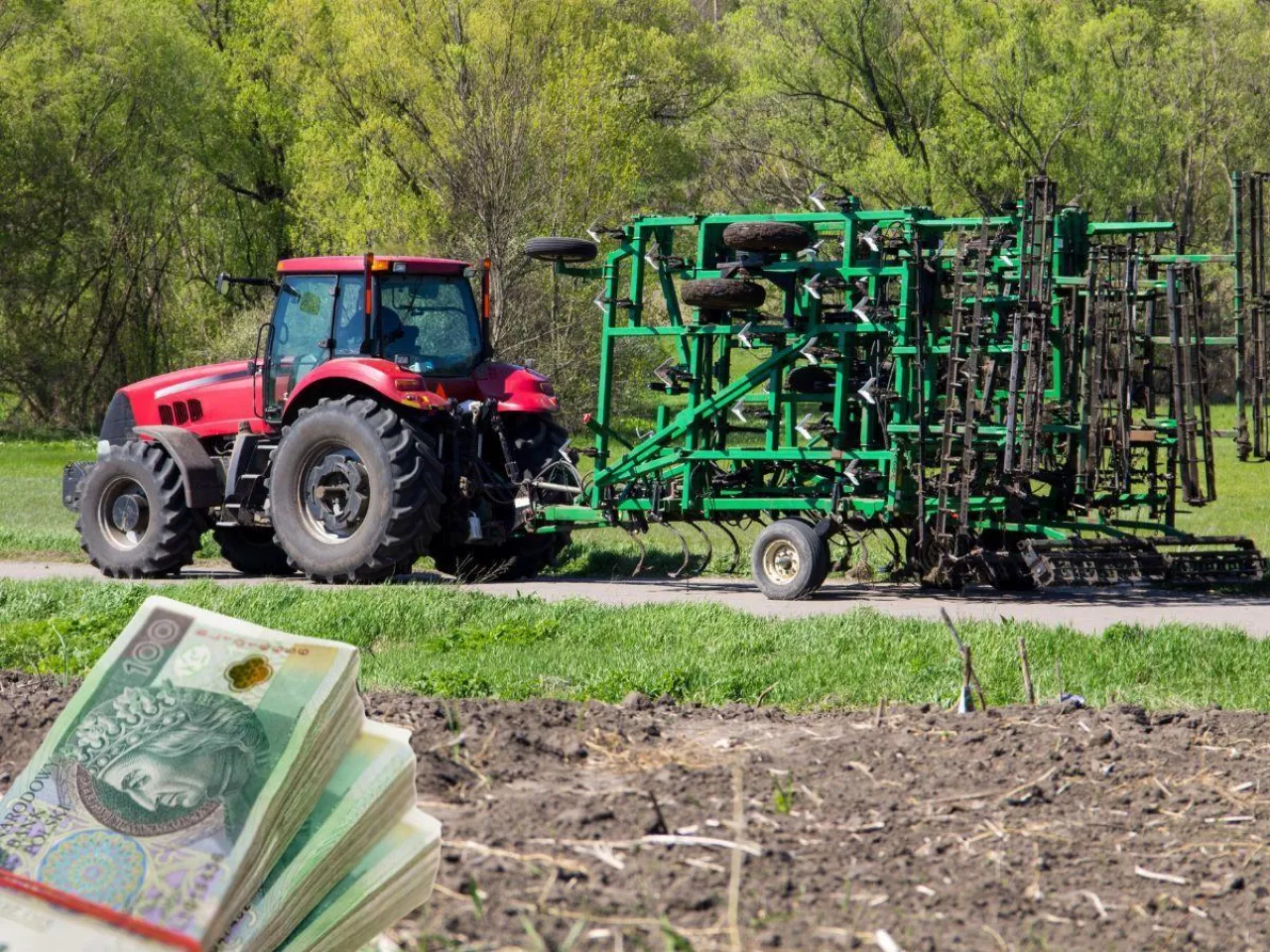 Dopłaty bezpośrednie 2025: stawki najpopularniejszych ekoschematów spadną 