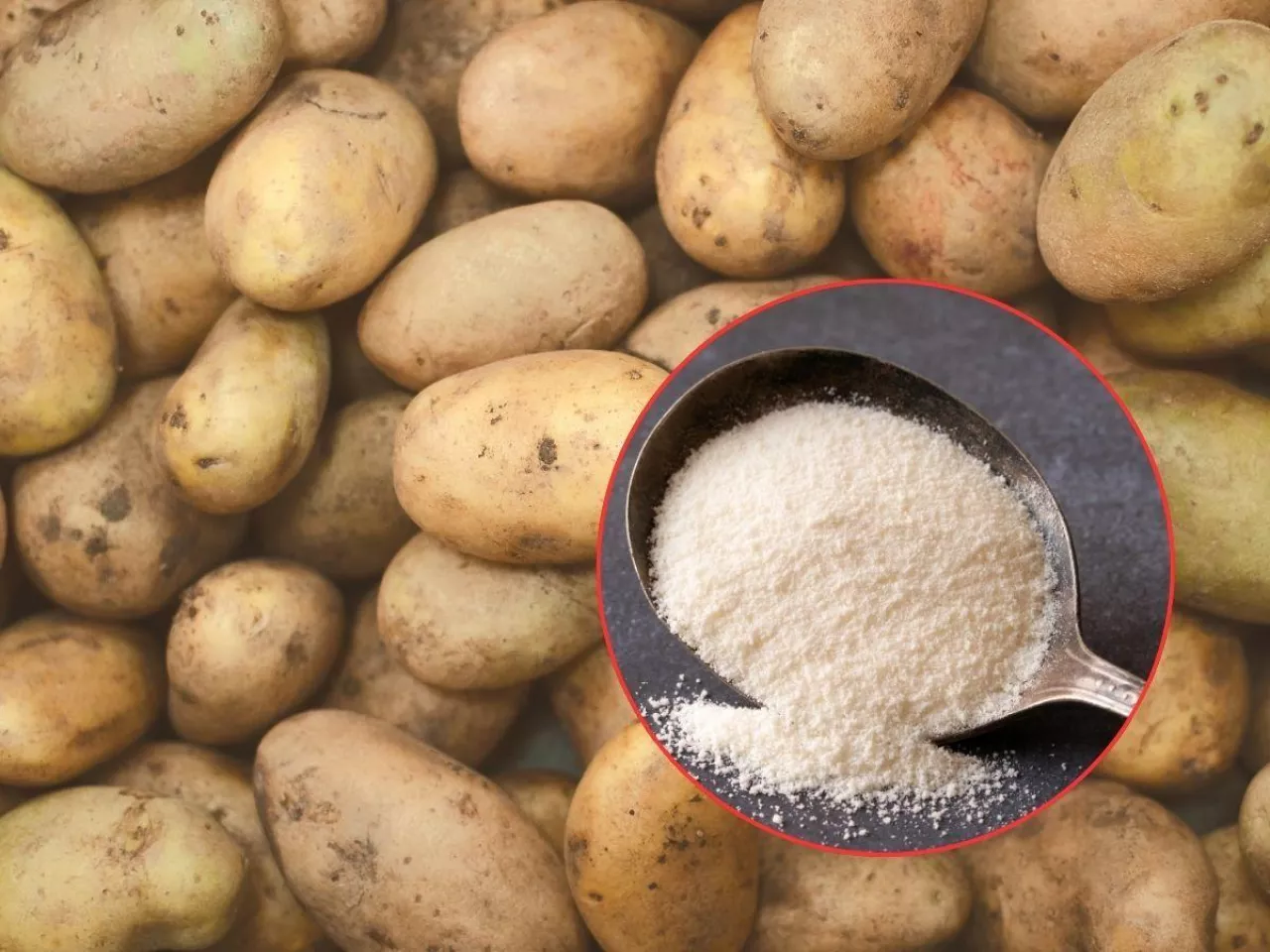 Ziemniaki gniją, a dzieci jedzą z proszku. Mocny apel rolników do prezydenta i premiera