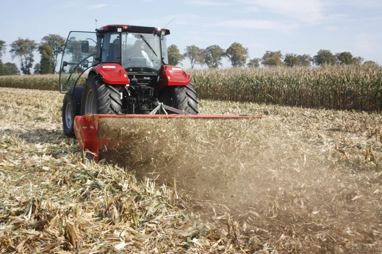 mulczowanie ścierniska kukurydza