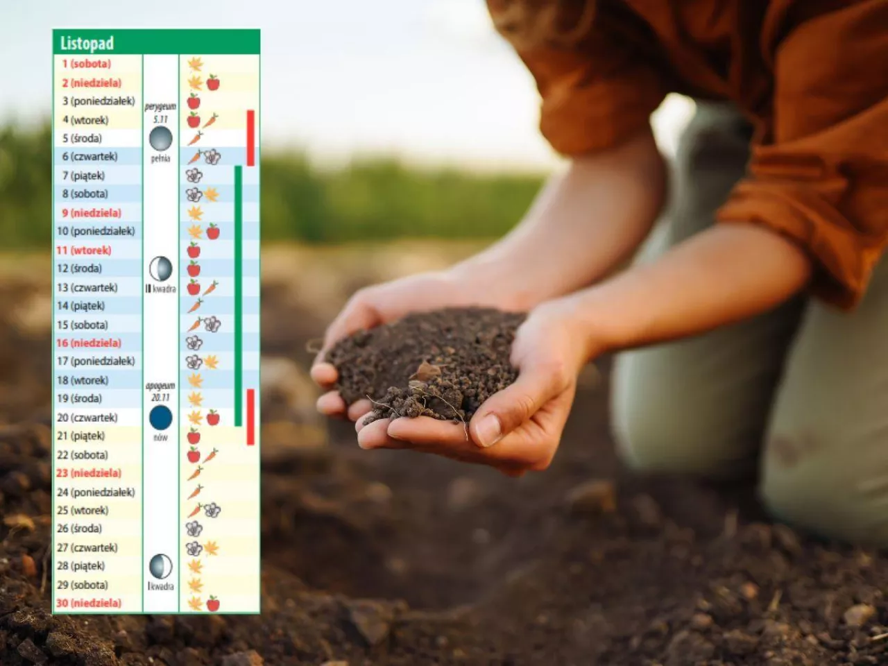 Kalendarz biodynamiczny na listopad 2025: co siać, zbierać i co zabezpieczyć przed zimą?