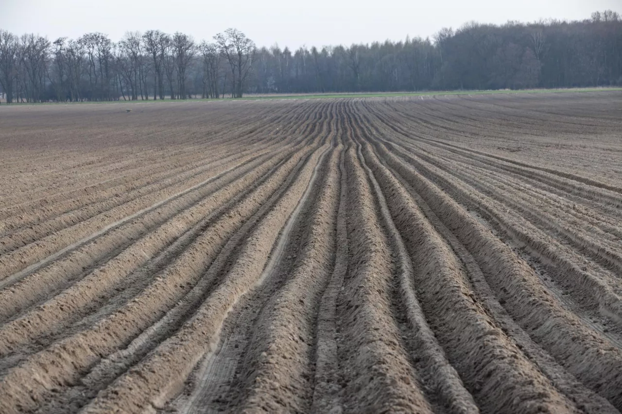 Sprzedaż gruntu pod masztem telefonii komórkowej