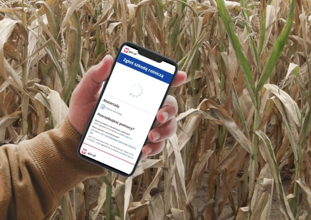 Pomoc suszowa 2025: ruszyła aplikacja suszowa. Można składać wnioski