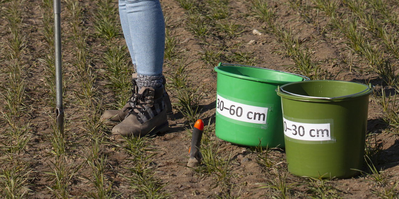 badanie gleby, pobieranie prób glebowych