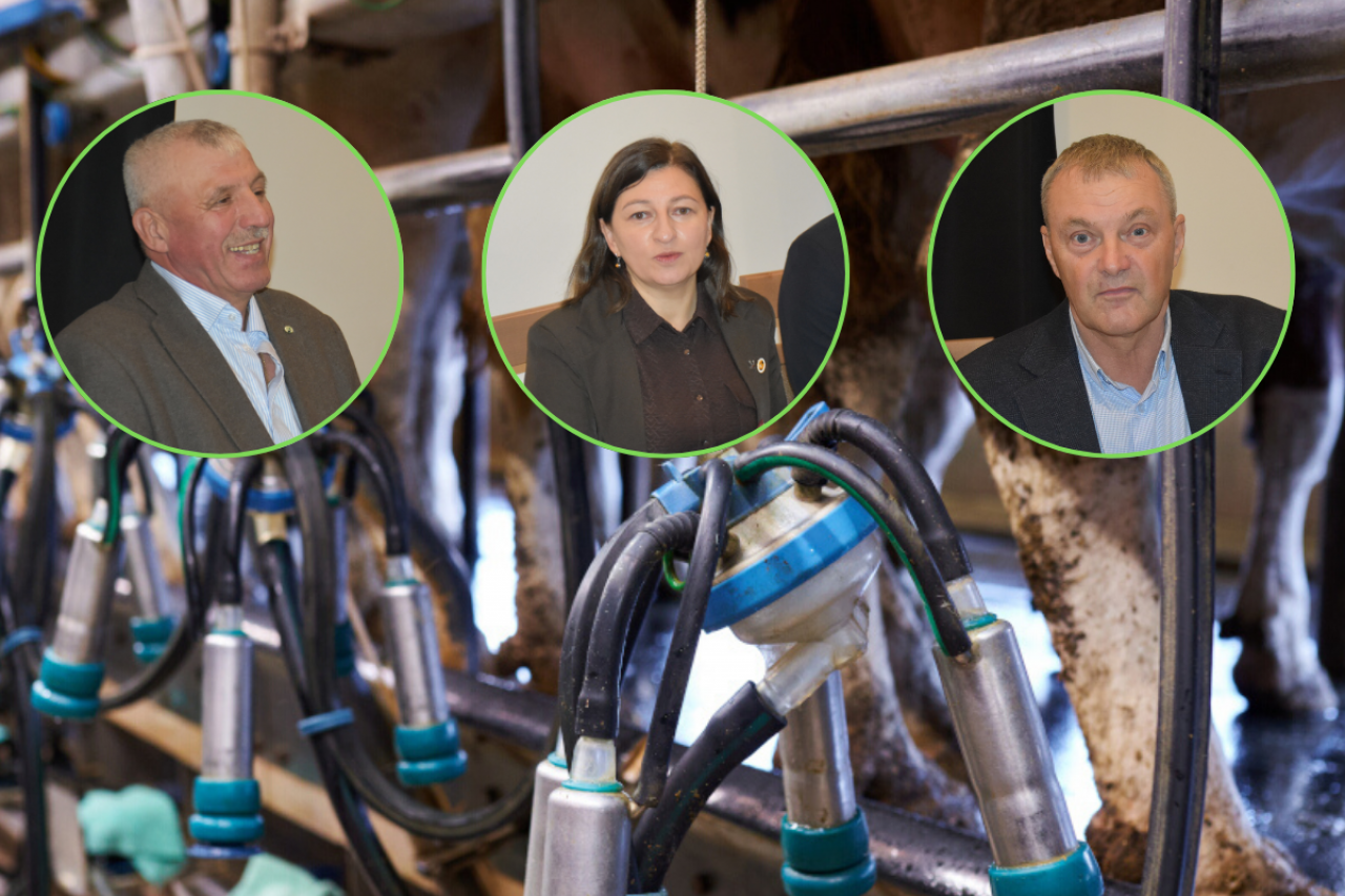 Jerzy Wawrzyńczak, Agnieszka Pawlak i Waldemar Plantowski