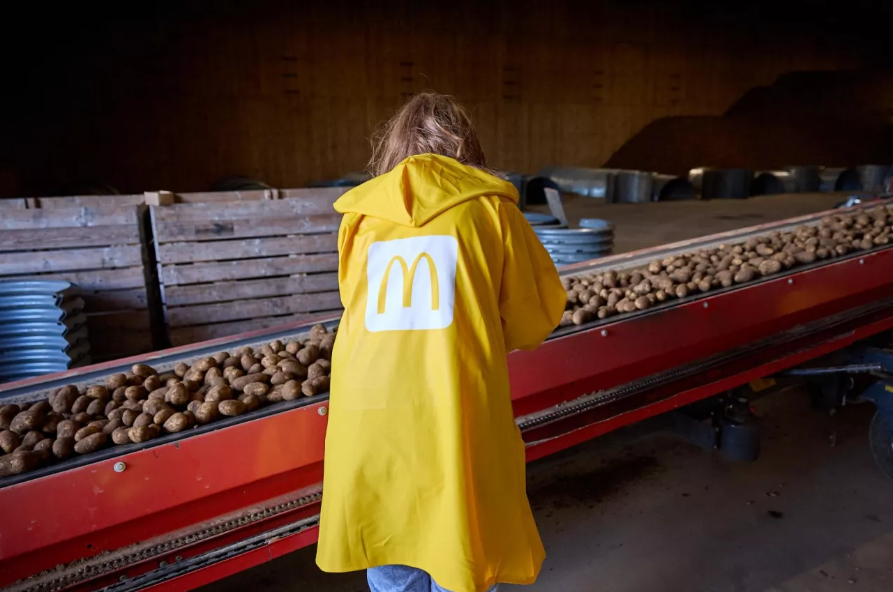 Skąd się biorą frytki w McDonald&#039;s?