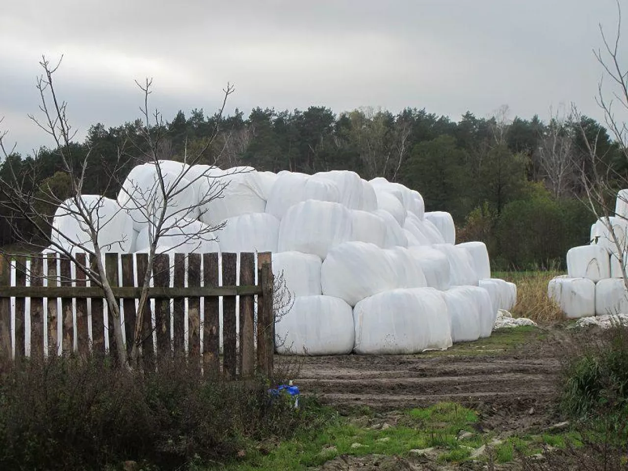 Folia rolnicza na balotach z sianokiszonką