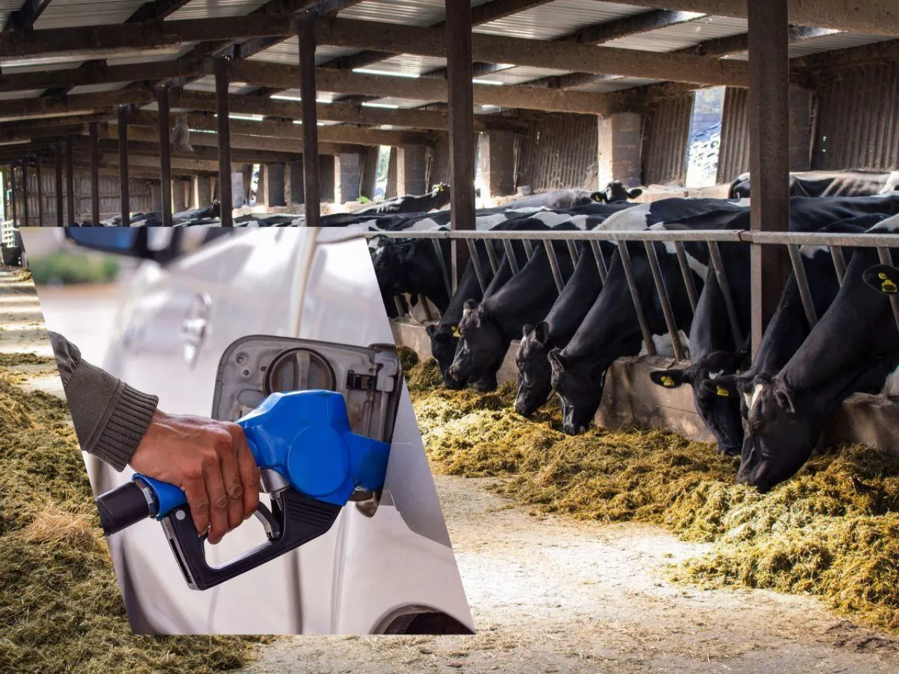 Zwrot akcyzy za paliwo rolnicze. Rząd zapowiada zmianę systemu