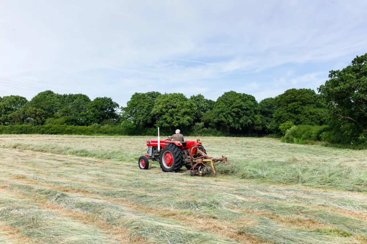 Koszenie trawy na użytkach zielonych