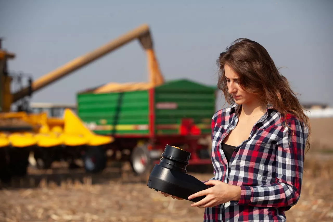 Pomiar wilgotności ziarna kukurydzy