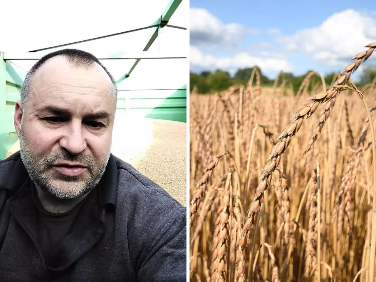 rolnik z Pomorza znalazł sposób, by nie dokładać do produkcji