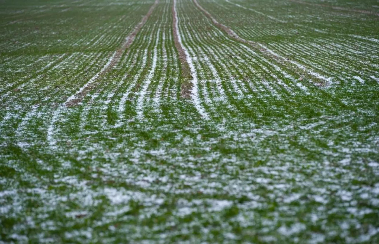 Prognoza pogody listopad 2025