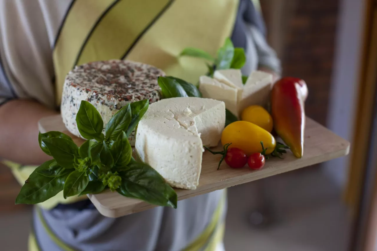 Jakie rodzaje działalności rolnik może prowadzić bez rejestracji?