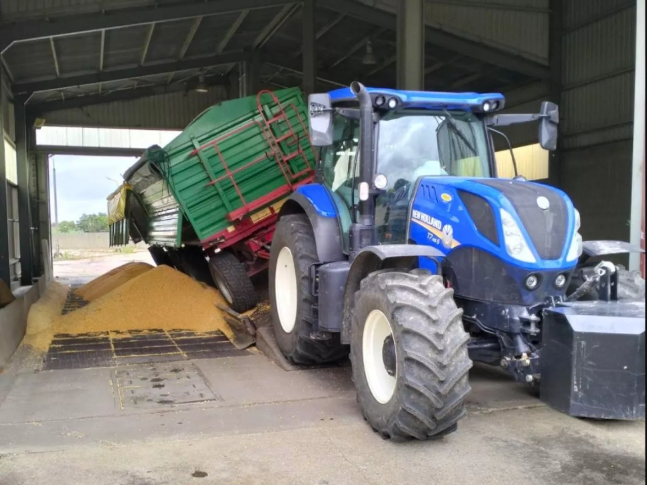 ceny zbóż fot elewarr