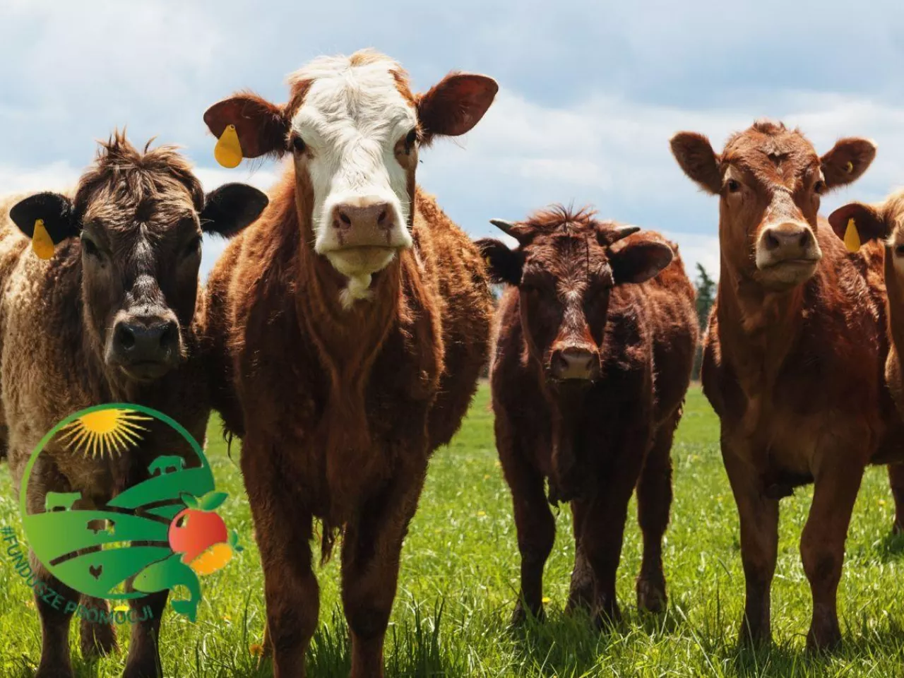 Co UE szykuje dla rolników? W tle rekordowe pieniądze