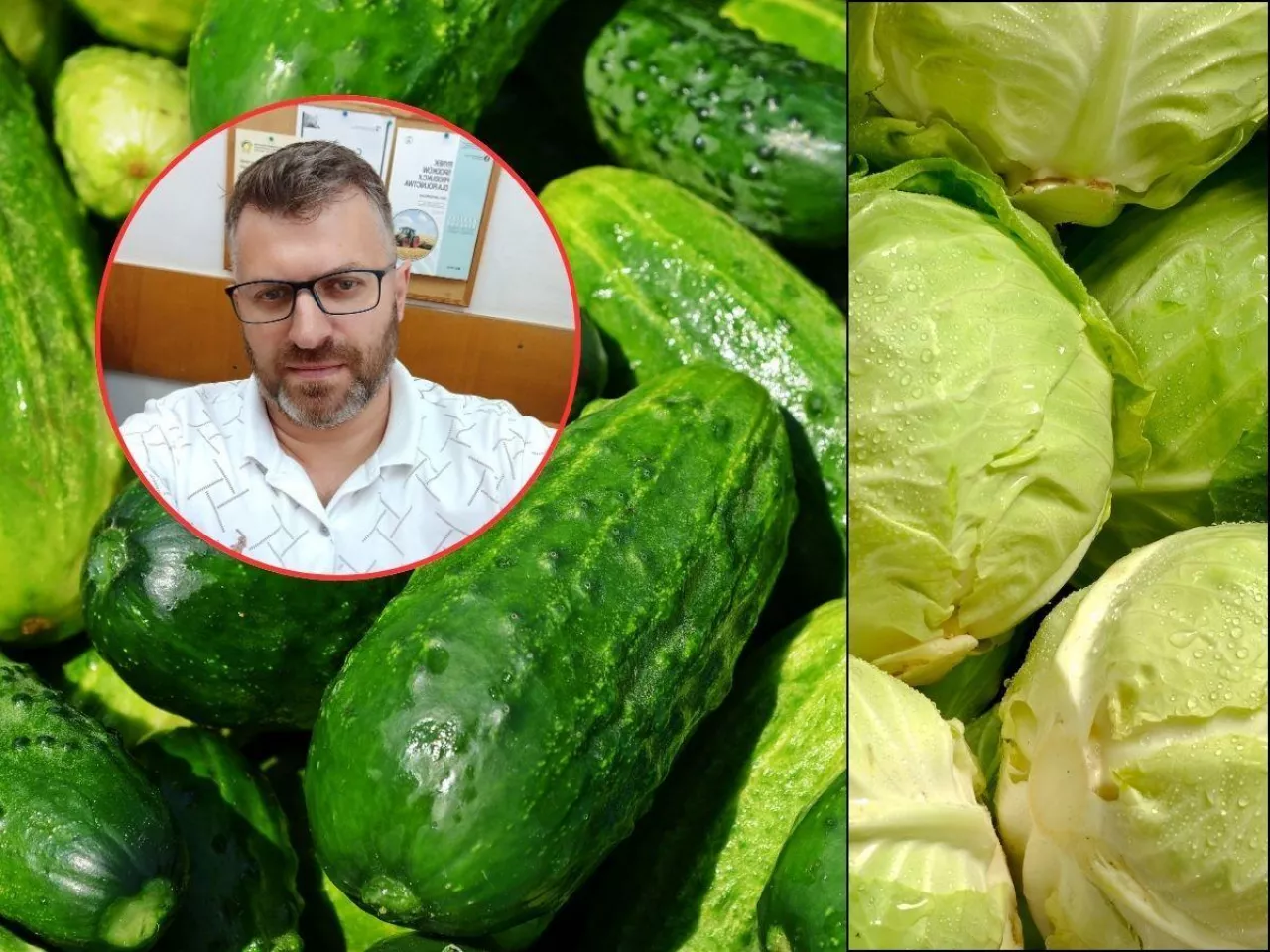 Co się dzieje? Kapusty z importu kupiliśmy o 65% więcej, ogórków o 50%