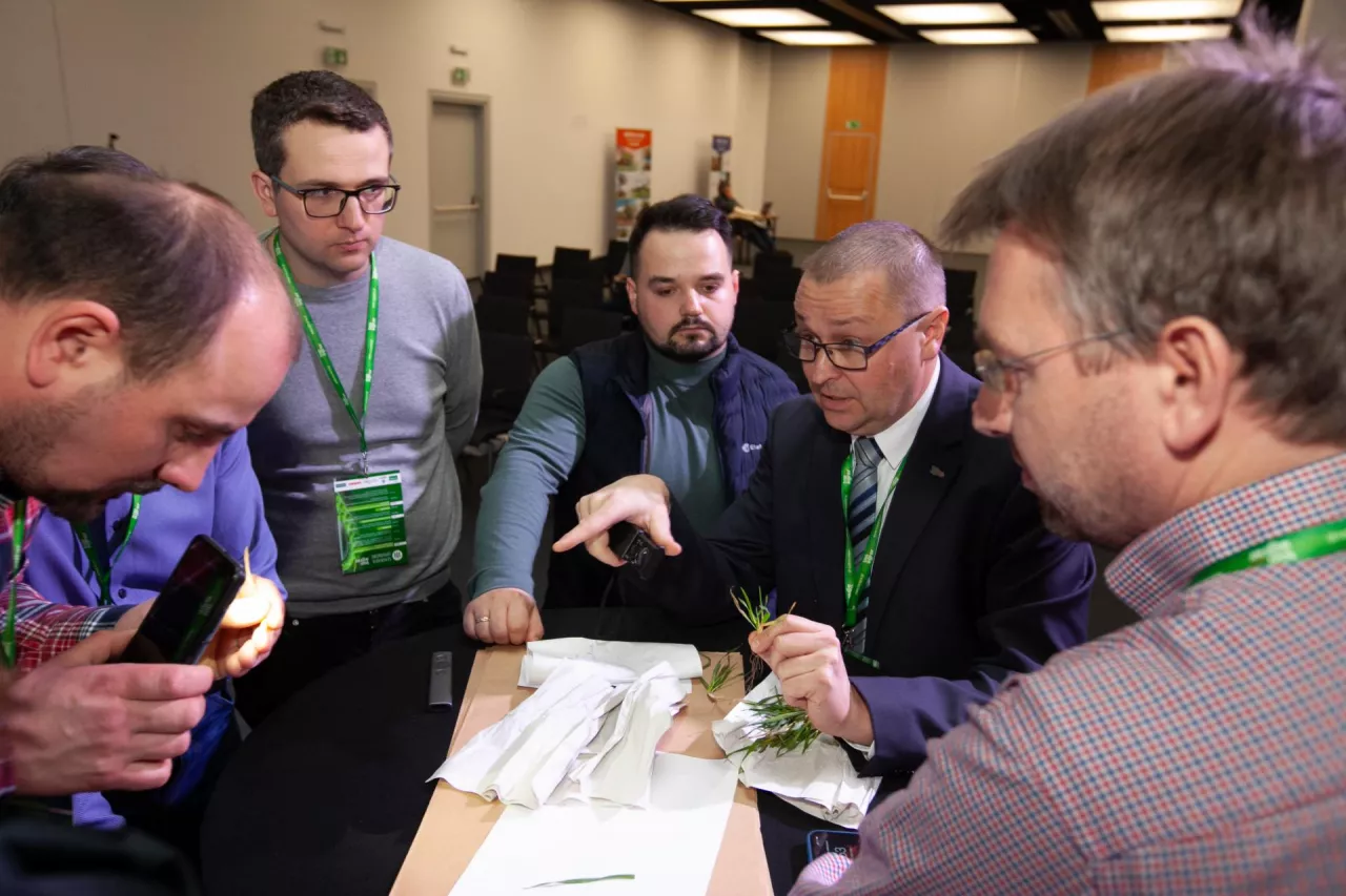 Warsztaty uprawowe - prof. Hansgeorg Schönberger,