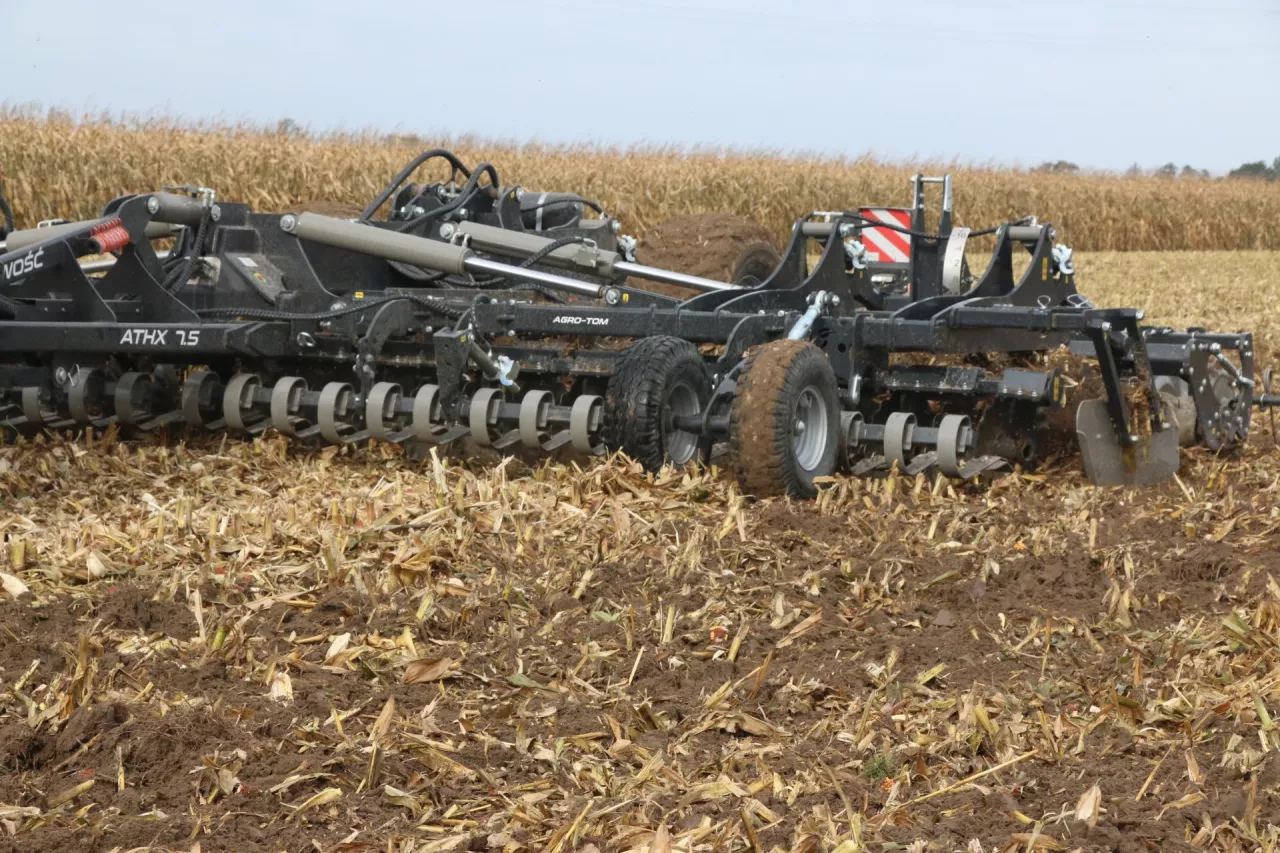 ściernisko kukurydza 2025