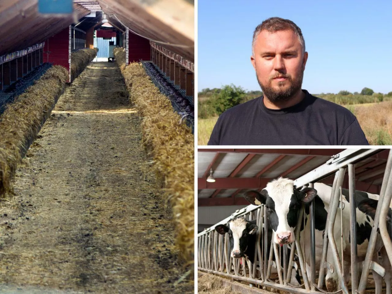 Hodowla zwierząt, rolnicy