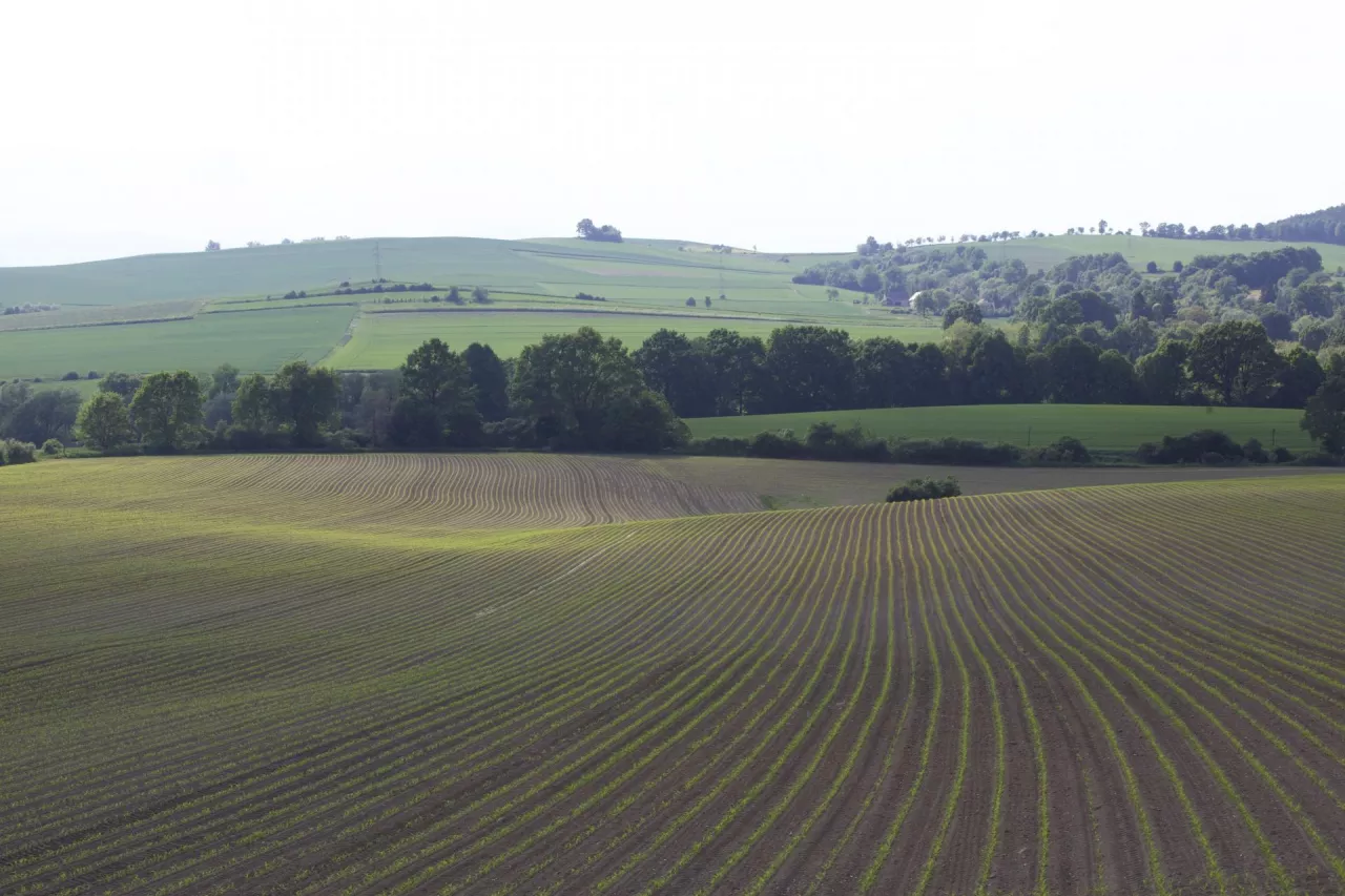 ziemia, grunty rolne