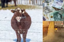 Raport rynkowy 12.12.2025