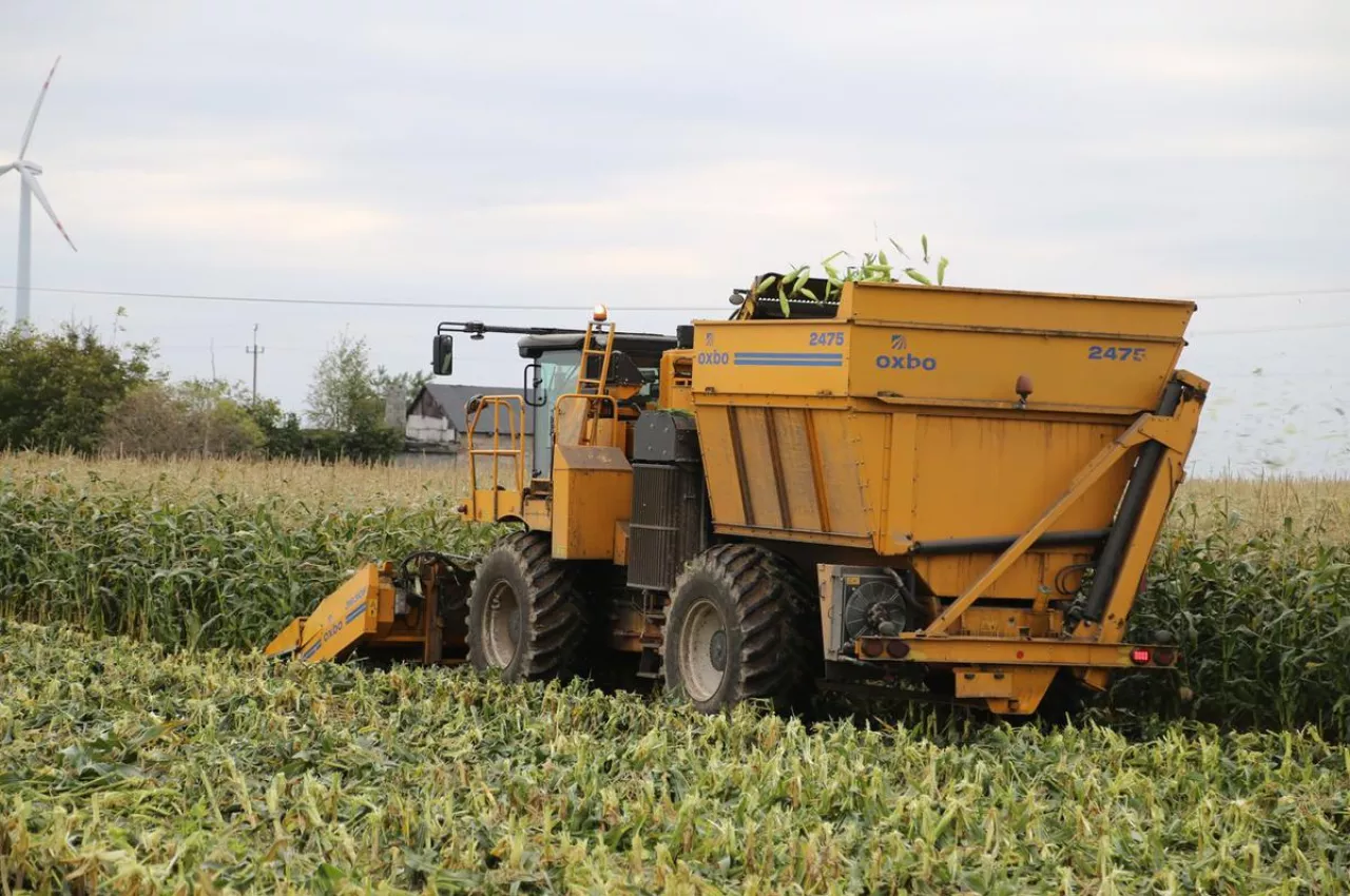 Czy nadal rolnik będący członkiem grupy producentów musi sprzedawać do grupy 70 proc. swoich produktów rolnych?
