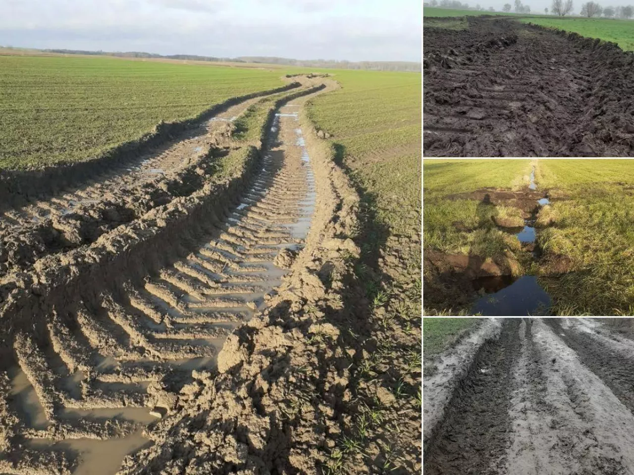 Zniszczone łąki w pow. sępoleńskim