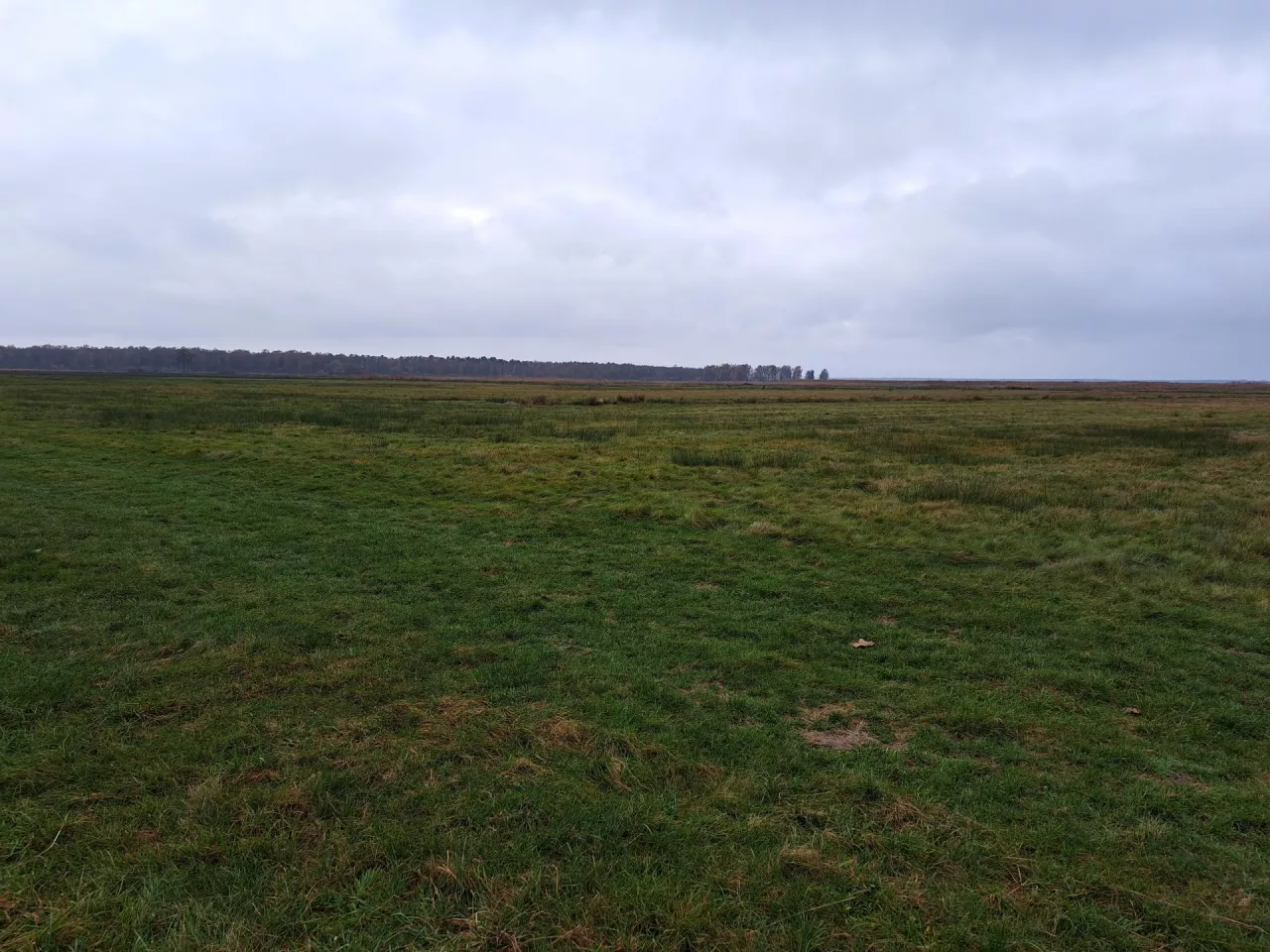 Działanie rolno-środowiskowe ”Ochrona torfowisk i obszarów podmokłych na gruntach użytkowanych rolniczo” przewiduje trzy warianty wsparcia