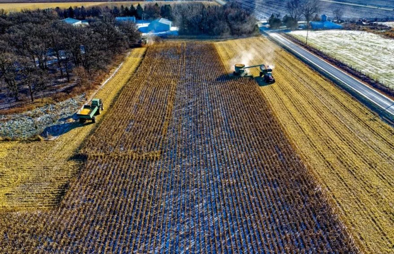 rolnictwo, nawożenie, zbiory, zmiany klimatu