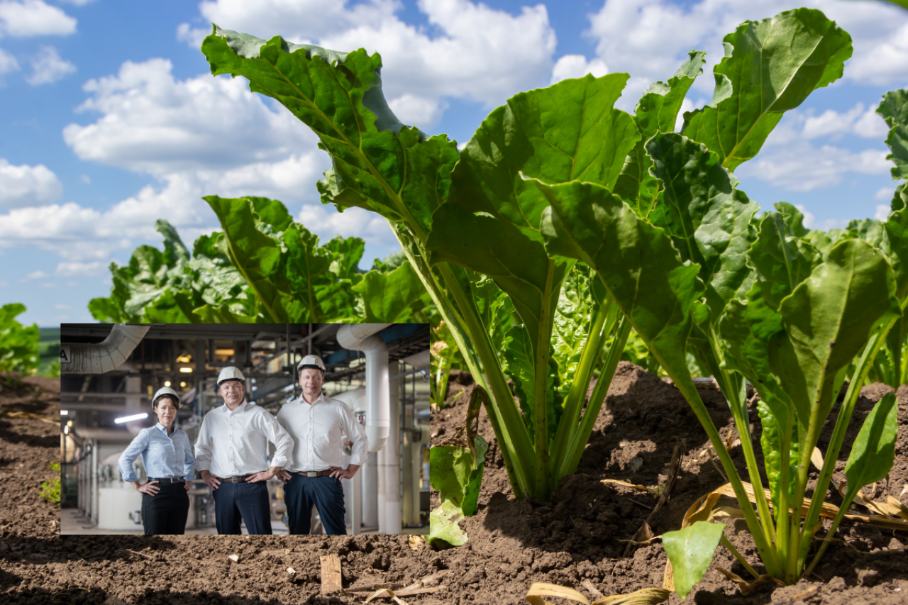 Nowy zarząd Pfeifer & Langen