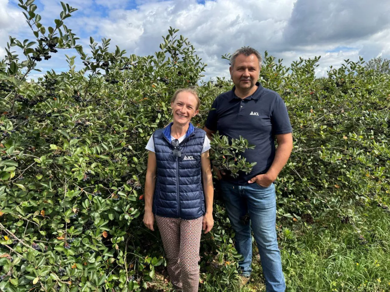 Dr inż. Diana Wieczorek i Andrzej Miąsko, ICL