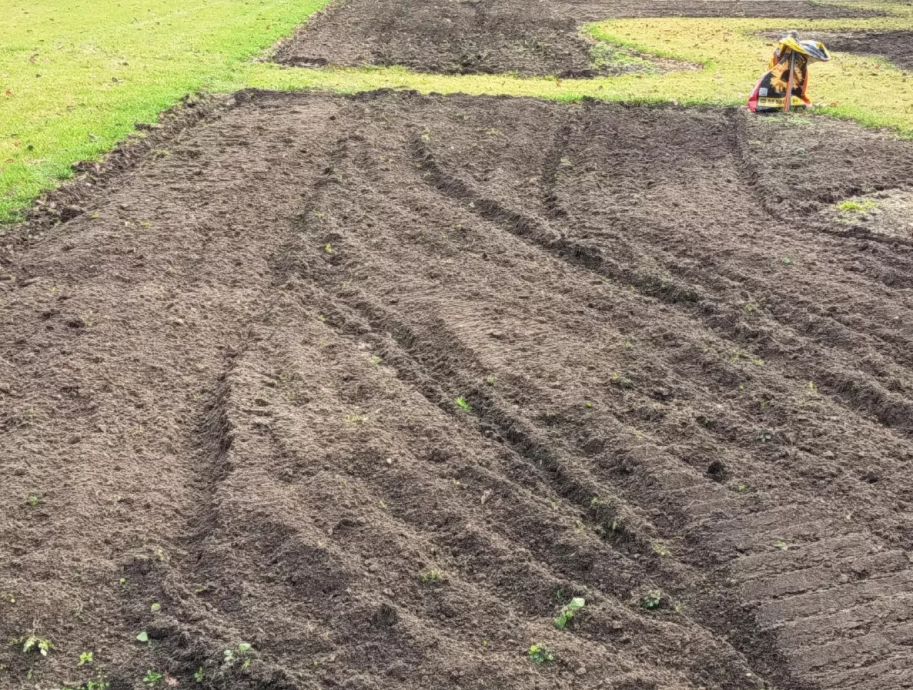 W Polsce dominują gleby, które wymagają nawożenia organicznego w celu zwiększenia zawartości próchnicy
