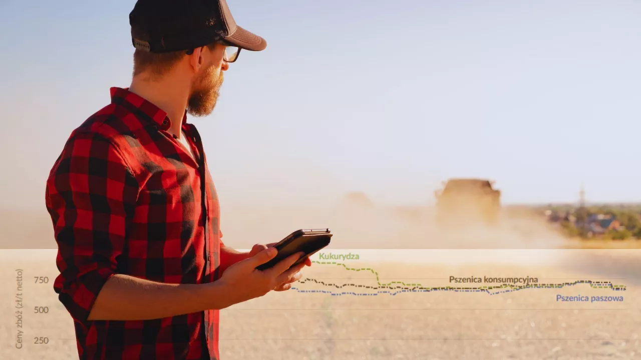 rolnik stoi z telefonem na tle pola