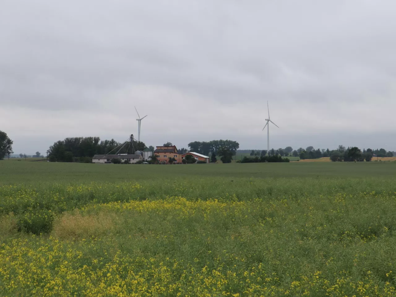 W tegorocznym naborze wniosków w ramach Planu strategicznego dla WPR 2023–2027 nie przewidziano żadnego wsparcia przeznaczonego stricte na zakup sprzętu rolniczego