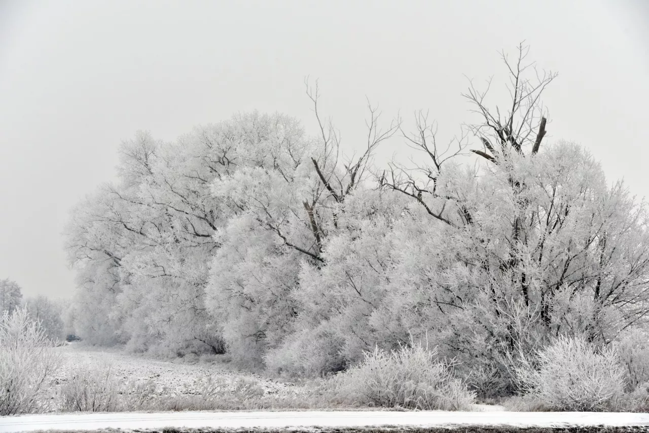zima, prognoza pogody
