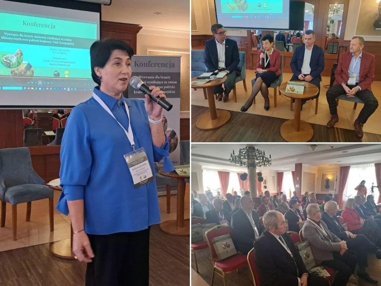 Rolnicy: bez tych zmian zboże się nie obroni. Padła lista żądań