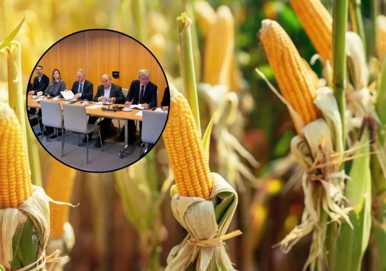 rośliny NGT debata PIORiN