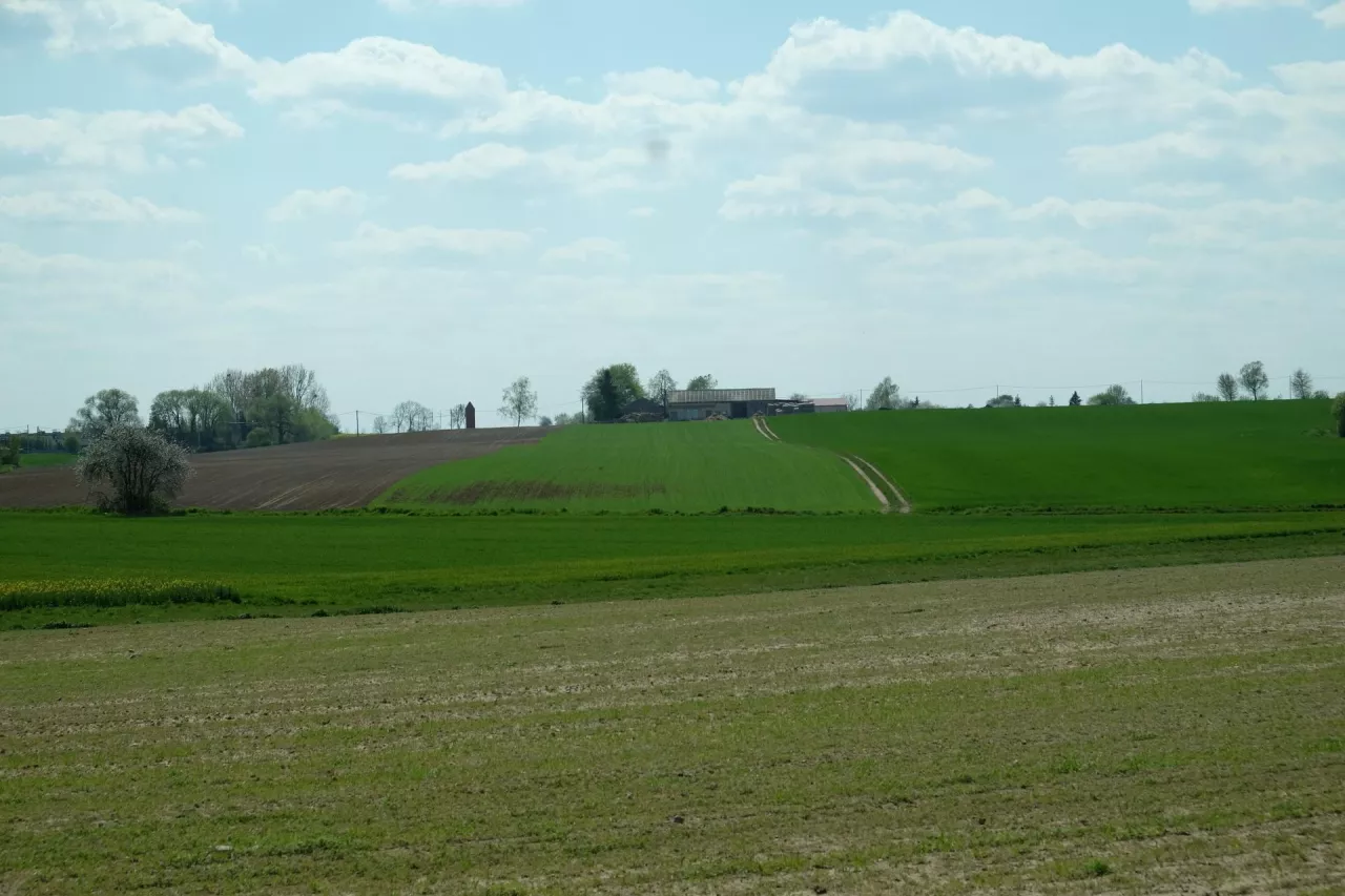 Zakup gruntów rolnych na licytacji publicznej a podatek rolny