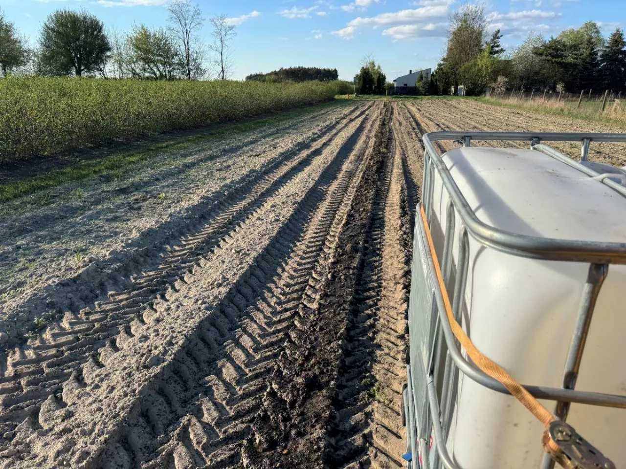 Rozlewanie Carbohumiku na Aroniowej Demo Farmie przed wysadzeniem sadzonek
