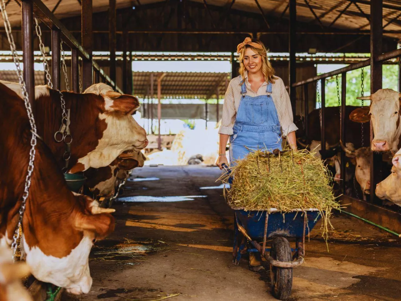 Rolnicy mają dość papierów. Będą zmiany w dopłatach do dobrostanu? 