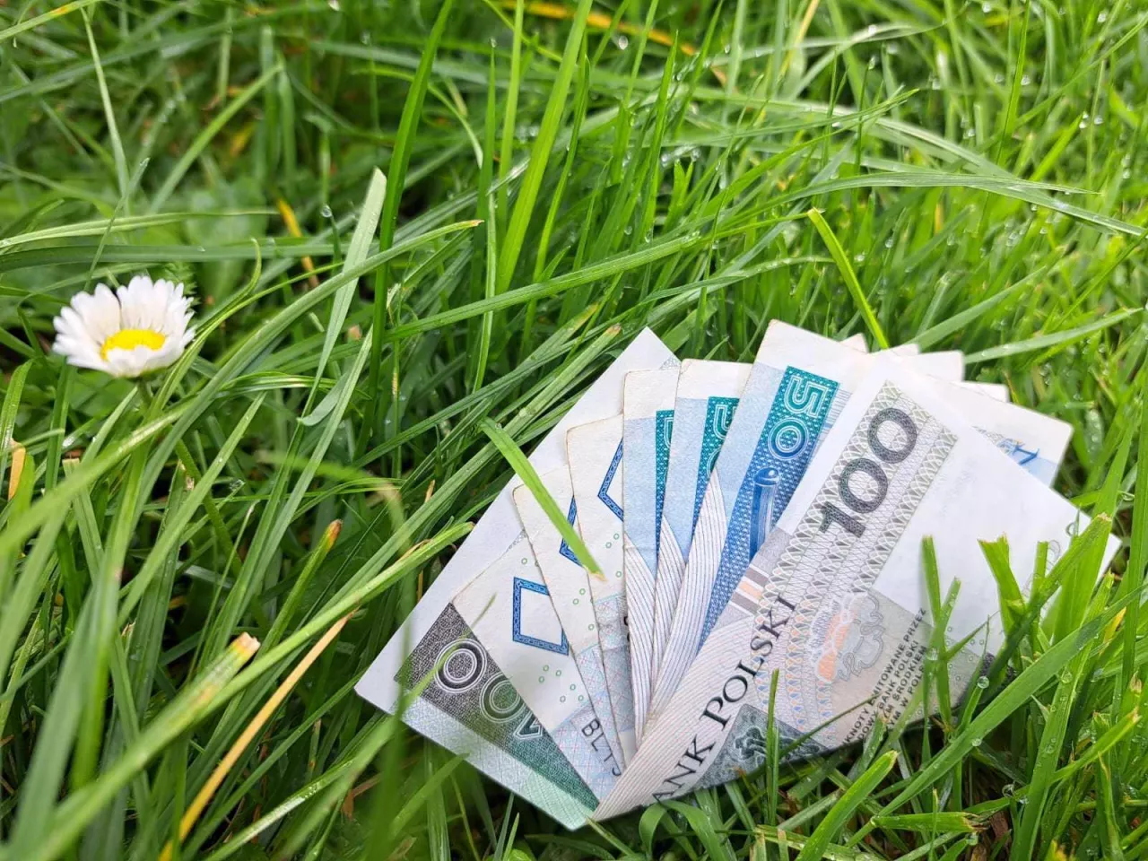 dopłaty, rolnik aktywny