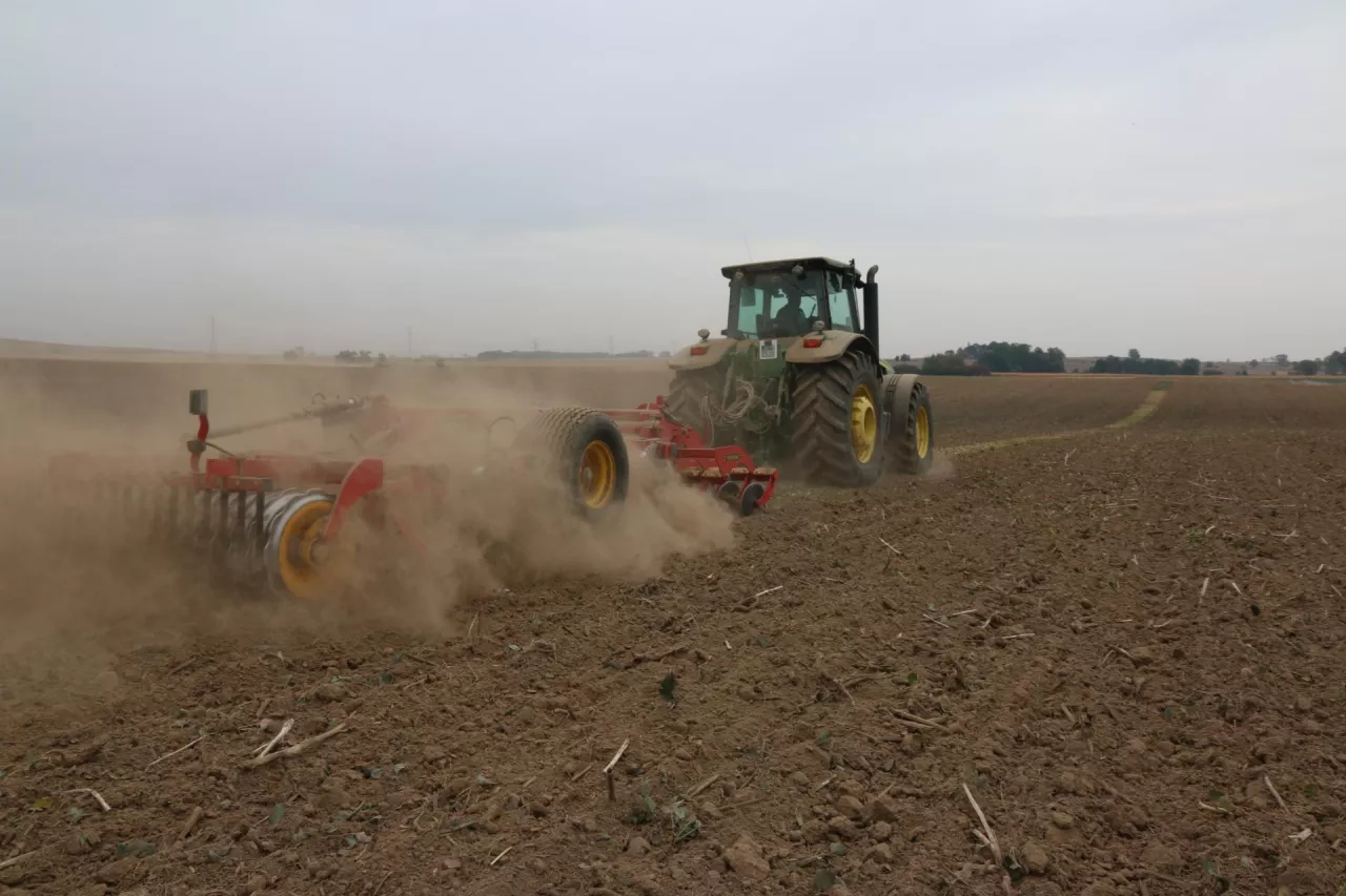 uprawa bezorkowa cięższa gleba susza