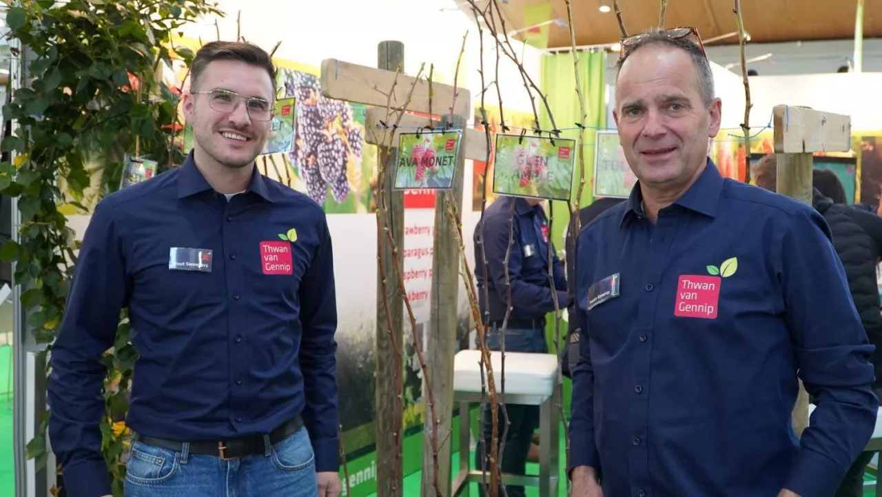 Wout Sweegers i Twan Goerts (z prawej), Thwan van Gennip