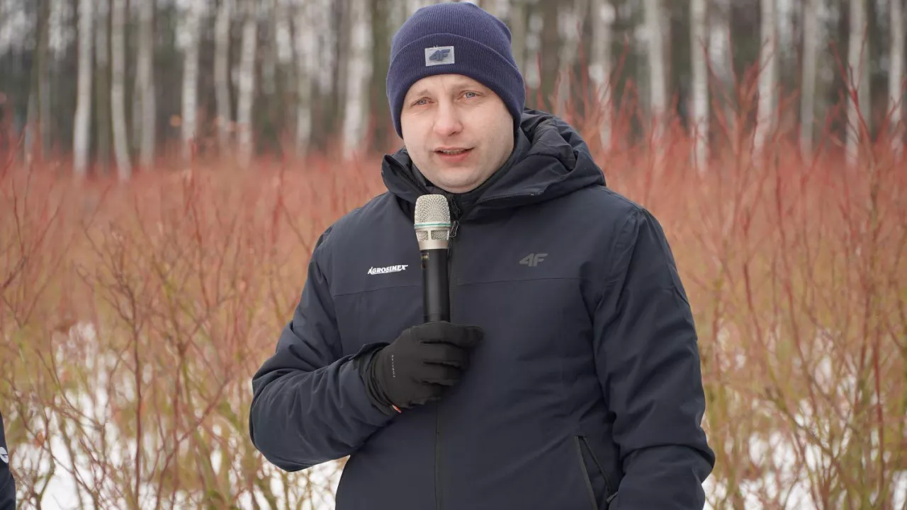 Tomasz Domański, Agrosimex, cięcie borówek