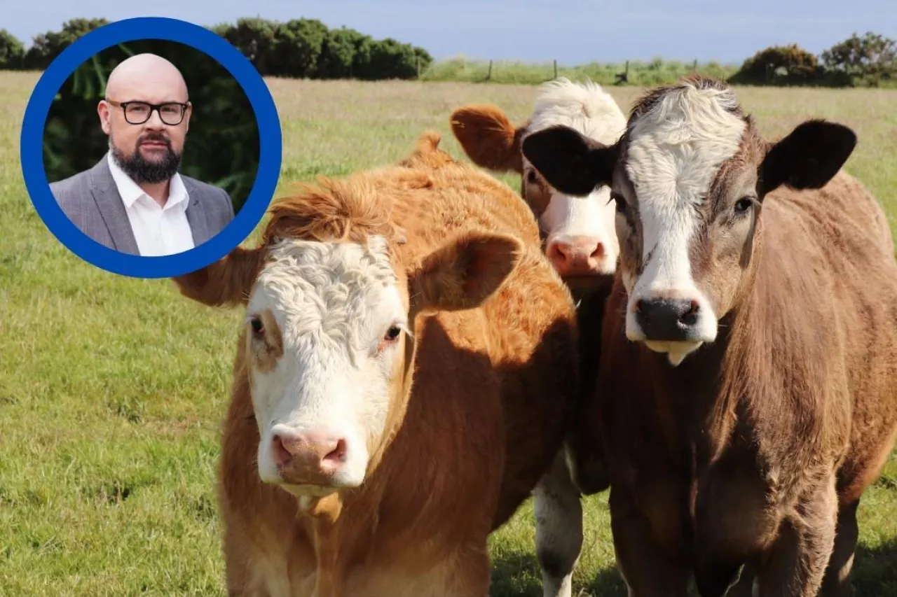 Bruksela szykuje kolejną umowę. „Poważne zagrożenie dla wołowiny”