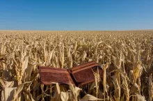 Kto płaci podatek rolny: właściciel czy dzierżawca?