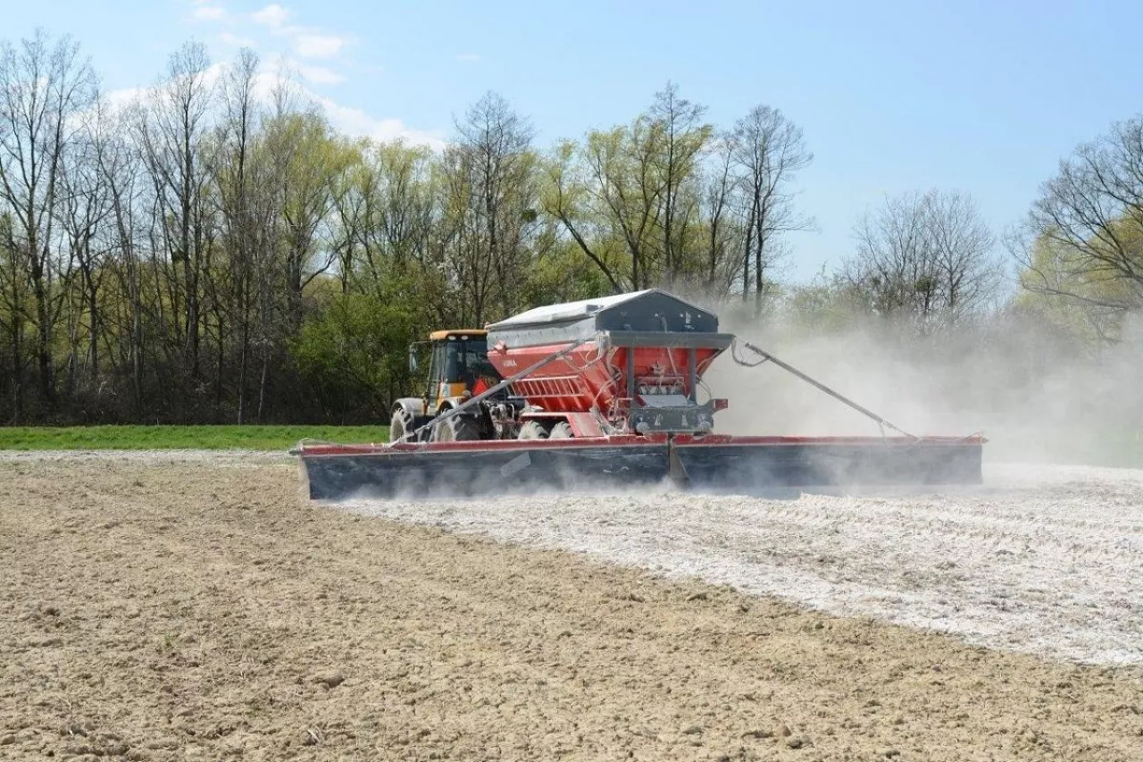 Jak wapnować pole pod kukurydzę? Sprawdź najważniejsze zasady