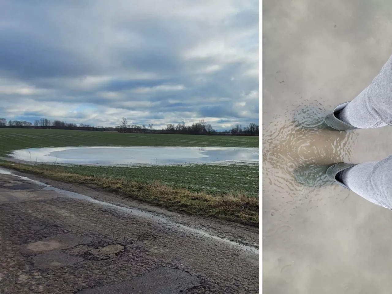 Nagła odwilż zalewa pola i gospodarstwa. Oziminy stoją pod wodą